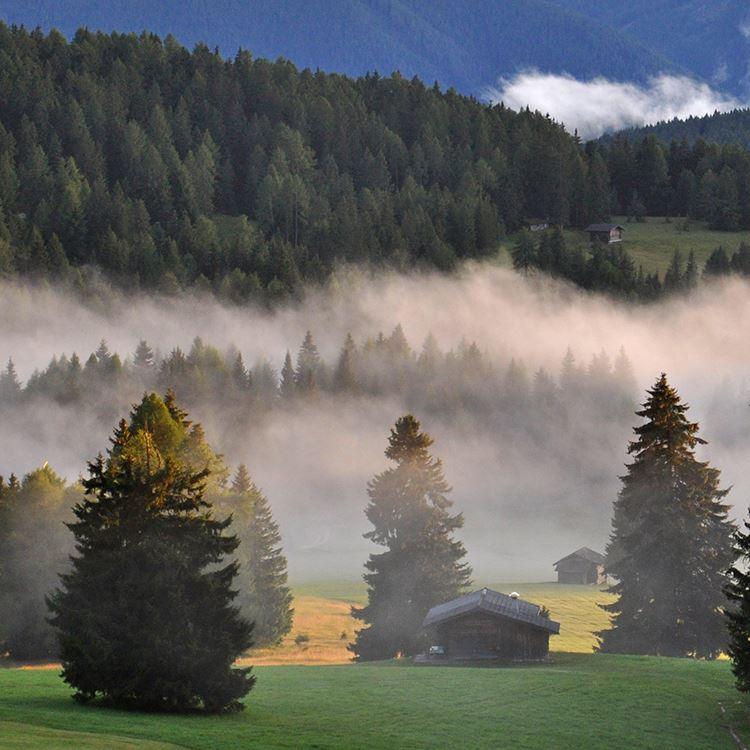 Evening Fog IG.jpg